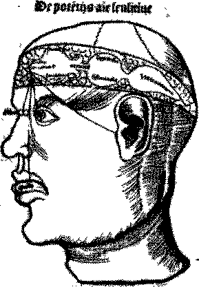 Рис. 1. Изображение трех «мозговых желудочков» (из трактата Г. Рейш «Margarita Philosophica», 1513) 