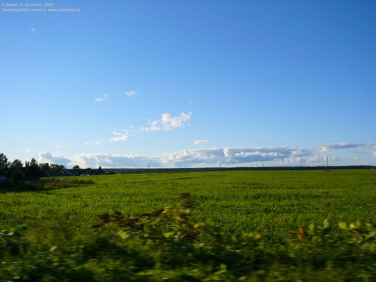          ,     .        .       .        ,     .          .  ,   ,    ,   ,          .   ,     .       ,         .  .     .           ,  ,         .   ""     5,8 ., ISO   50.    
  .